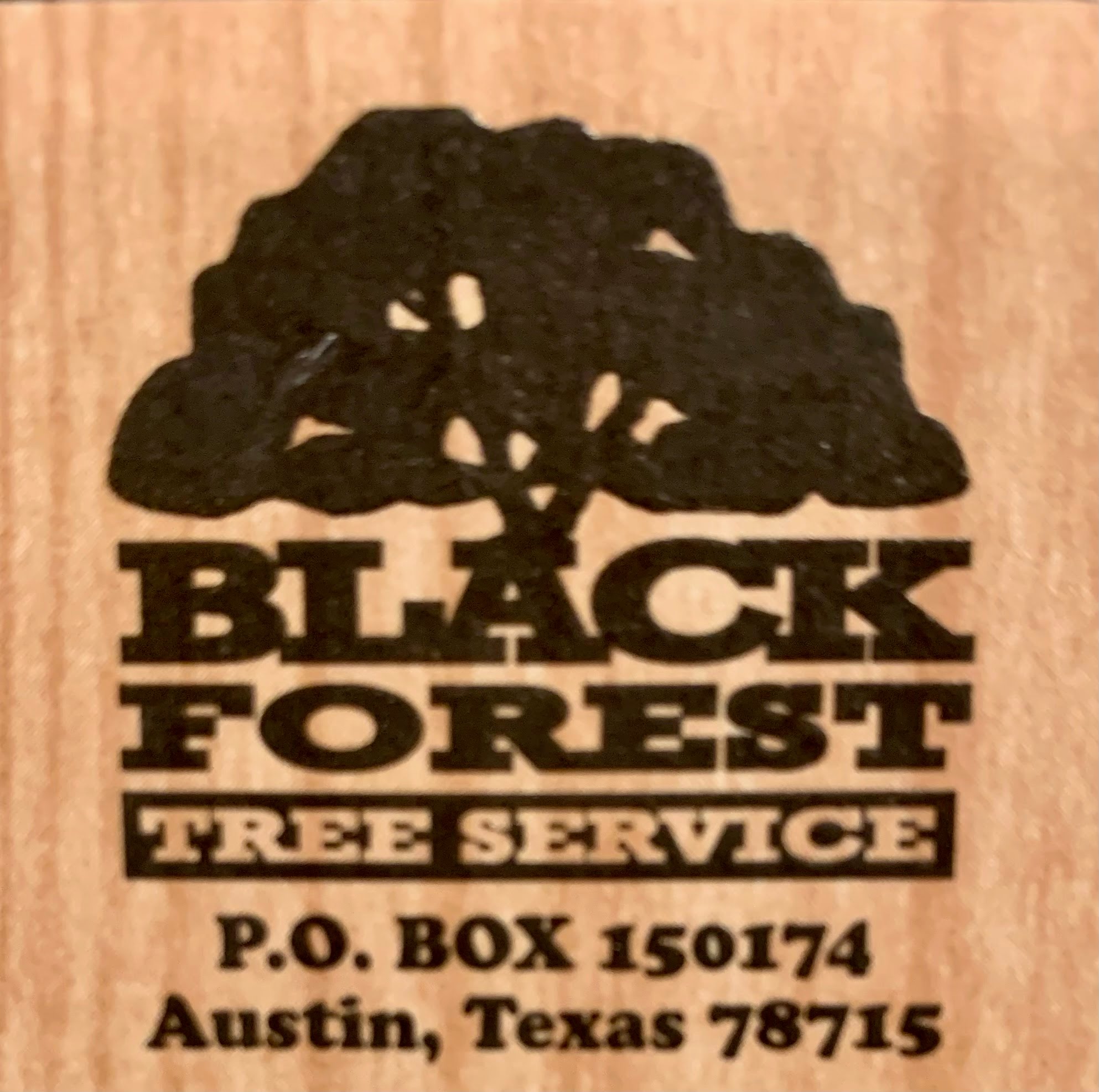 Black Tree Forest